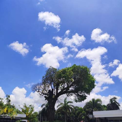 Photo #7512787