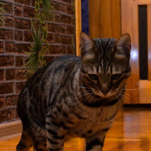 Photo #7512912
