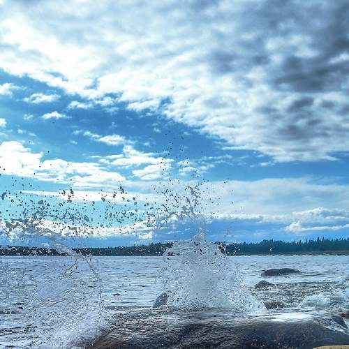 Photo #7513080