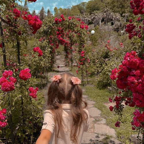 Photo #7513214