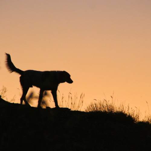 Photo #7513477
