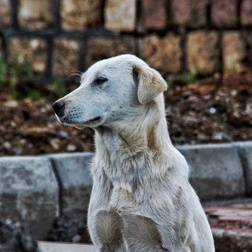 Photo #7513478