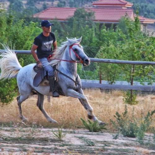 Photo #7513480