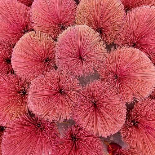 Фотография #7513556