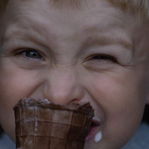 Photo #7513798