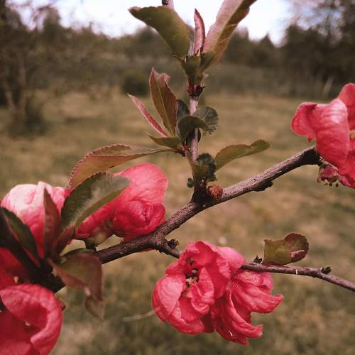 Photo #7513849