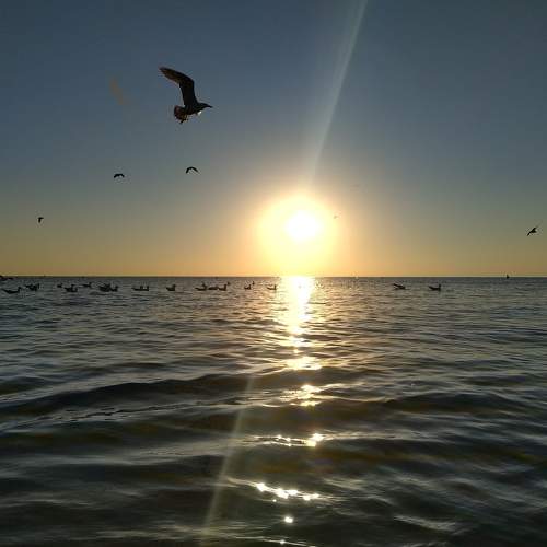 Photo #7513851
