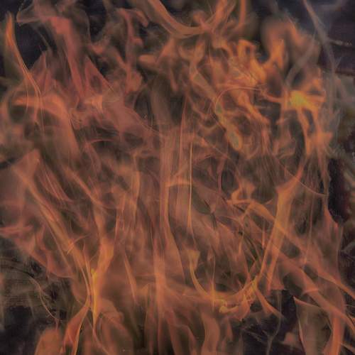 Photo #7514023
