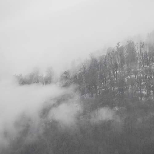 Photo #7514054