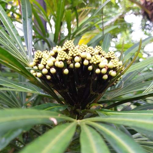 Photo #7514186