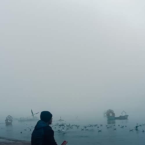 Photo #7514262