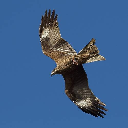 Photo #7514314