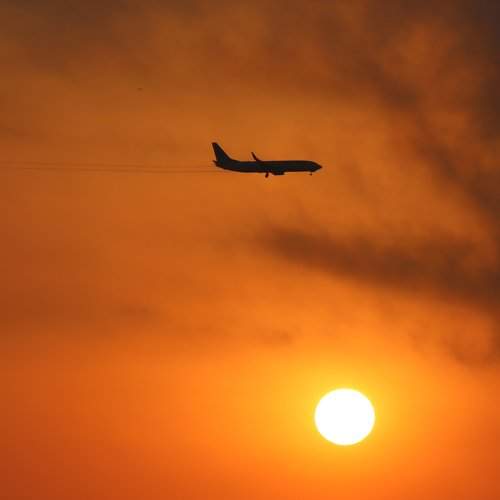 Photo #7514401