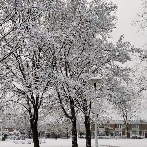 Photo #7514433