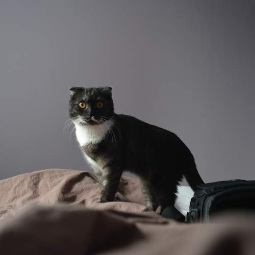 Photo #7514627