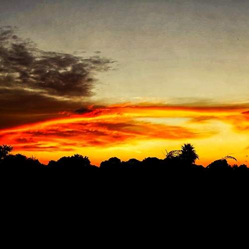 Photo #7514628