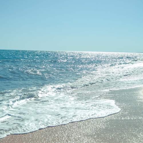 Photo #7514630