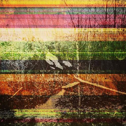 Photo #7514933