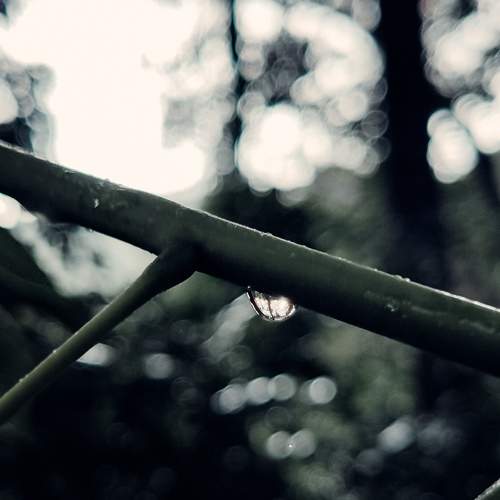 Photo #7515015