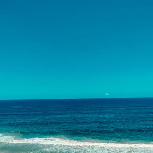 Photo #7515029