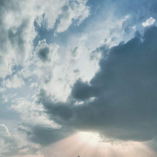 Photo #7515288