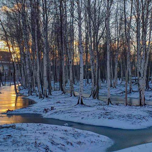 Photo #7515313
