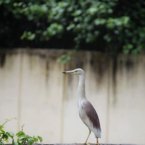 Photo #7516091
