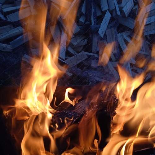 Photo #7516150