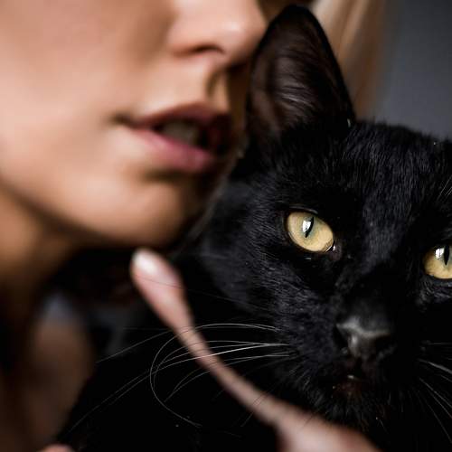 Фотография #7516502