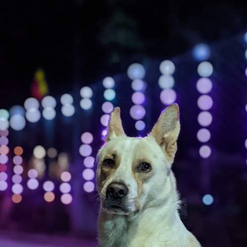 Photo #7516511