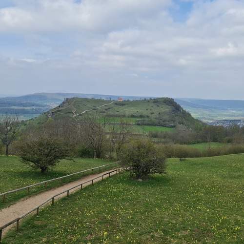 Photo #7517100