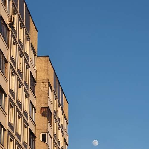 Photo #7517110