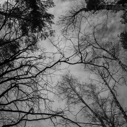 Photo #7517262
