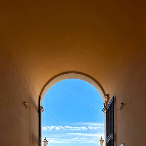 Photo #7517300