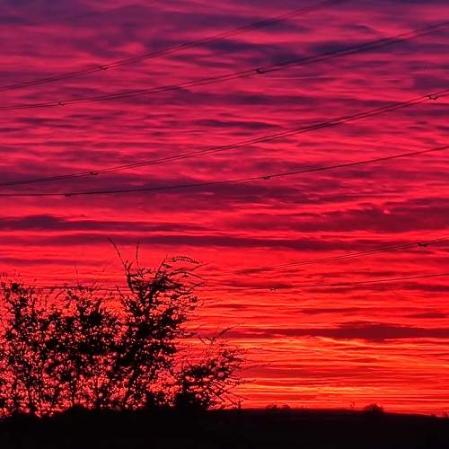 Photo #7517556