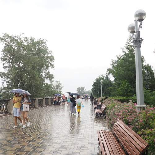 Photo #7517859