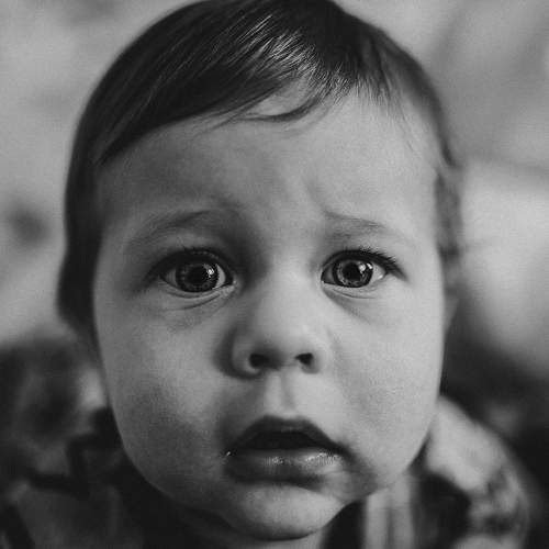 Photo #7517901
