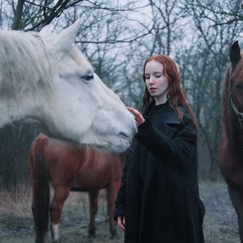 Photo #7517965