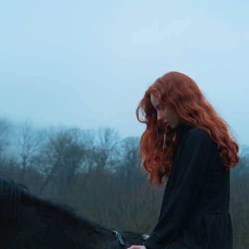 Photo #7517968