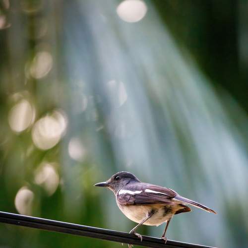 Photo #7518103