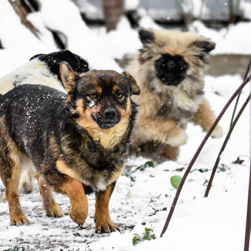 Photo #7518190