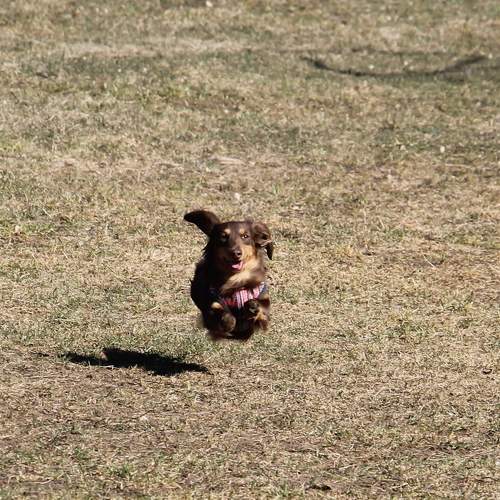 Photo #7518226