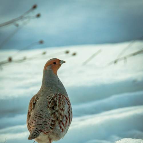 Photo #7518356