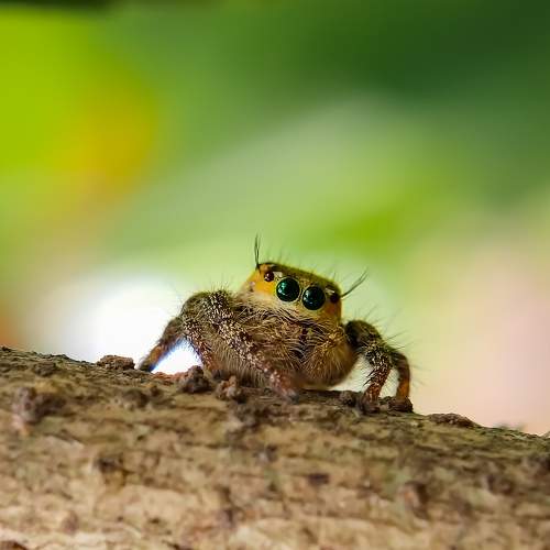 Photo #7518466