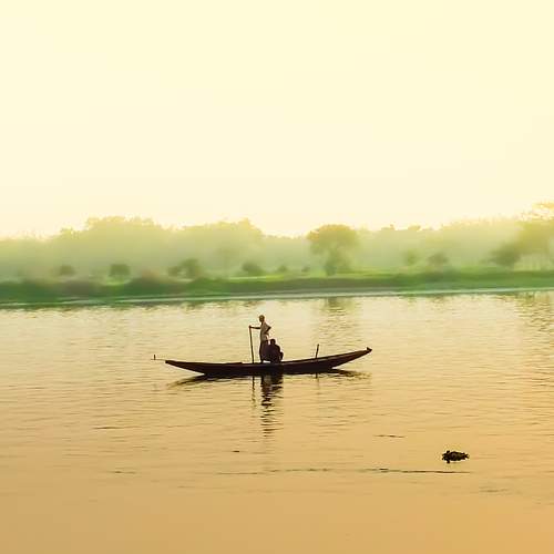 Photo #7518473