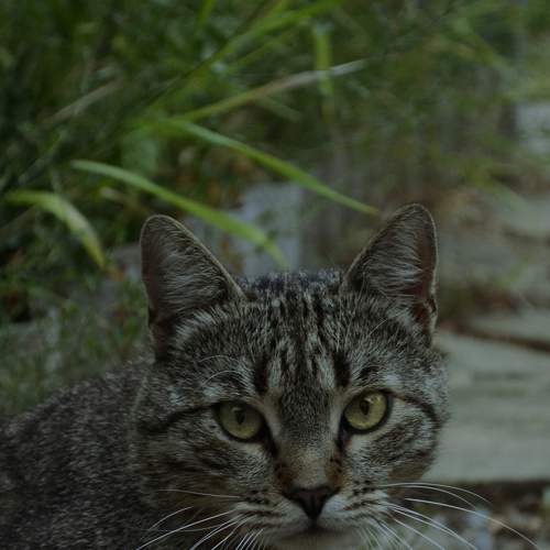 Photo #7518761