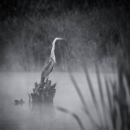 Фотография #7519038