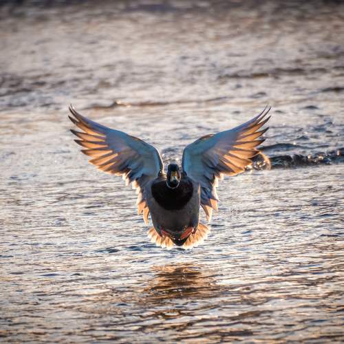 Фотография #7519065