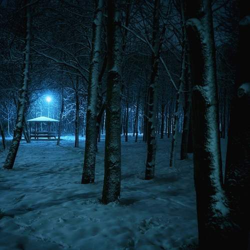 Photo #7519094
