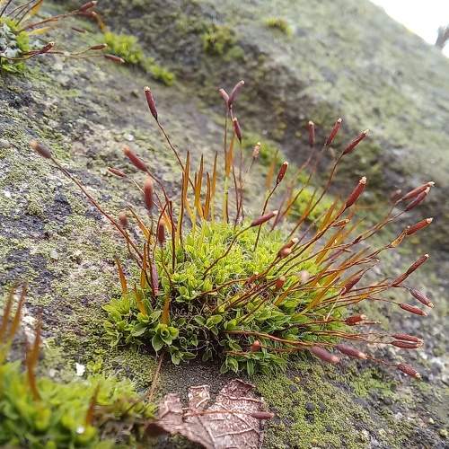 Photo #7519116
